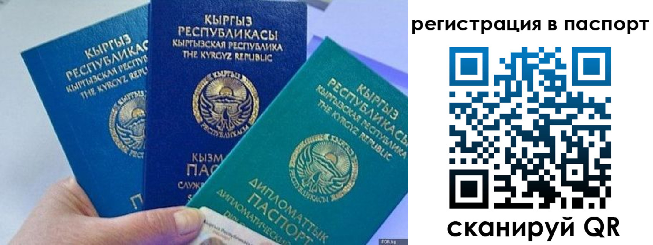 прописка 2025 в Калужской области